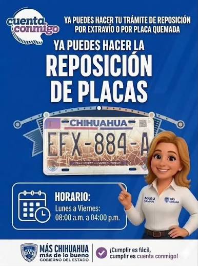 PLACASDAÑADAS-1.jpeg