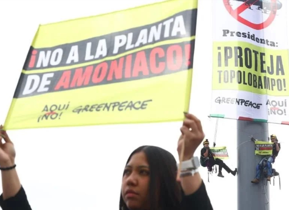 PLANTA.png