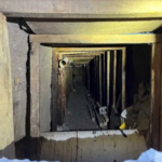 TUNEL.png