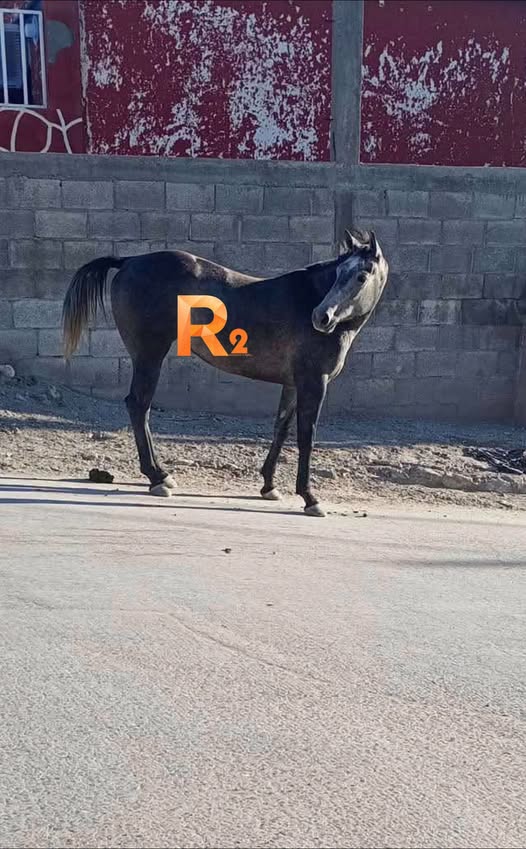 831769111_1413805390923354_1365932471009811248_n.jpeg