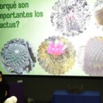 cactaceas-sabados-en-la-ciencia3-1140x570.jpg